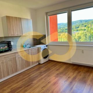 Pronájem bytu 1+kk, garsoniery 18 m² Český Krumlov