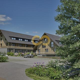 Prodej bytu 1+kk a garsoniéry 36 m² Nové Hutě