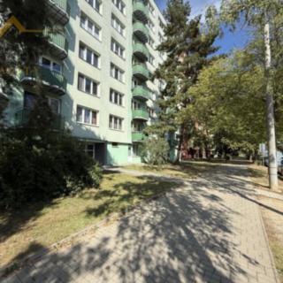 Pronájem bytu 2+kk 46 m² České Budějovice 2, J. Opletala
