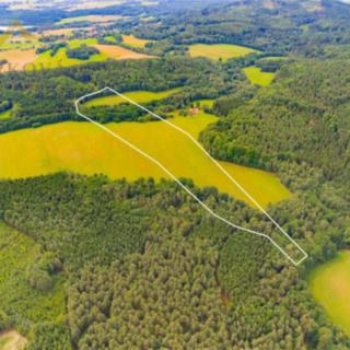 Prodej louky 98 591 m² Benešov nad Černou Klení