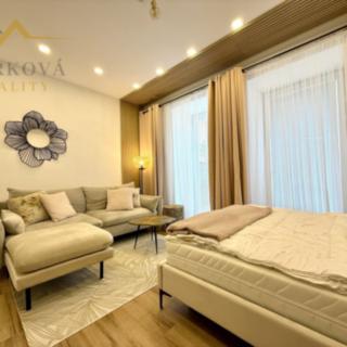 Pronájem bytu 1+kk, garsoniery 30 m² Písek