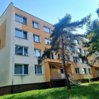 Pronájem bytu 1+1 30 m² Bílina Pražské Předměstí, Aléská