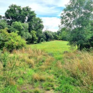 Prodej stavební parcely 16 303 m² Nezabylice