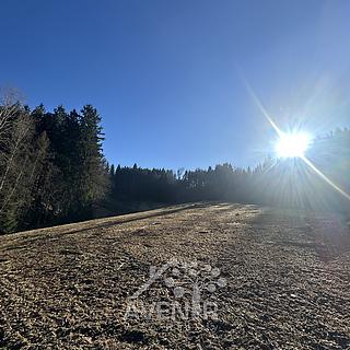 Prodej louky 15 029 m² Bozkov