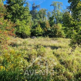Prodej stavební parcely 1 103 m² Krnsko