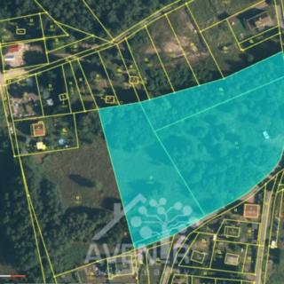 Pronájem zahrady 10 000 m² Liberec XXV-Vesec, Chatařská