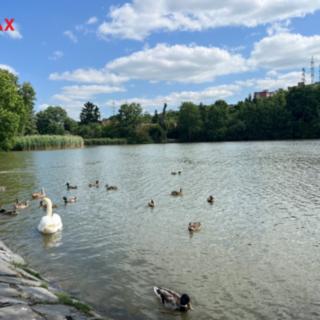 Pronájem bytu 2+kk 46 m² Praha