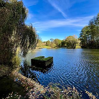 Prodej vodní plochy 8 558 m² Bílý Kostel nad Nisou