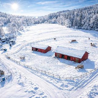 Prodej zahrady 18 594 m² Chotěvice