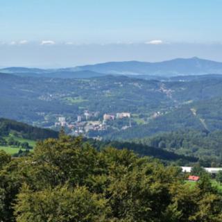 Prodej louky 2 041 m² Kořenov Příchovice