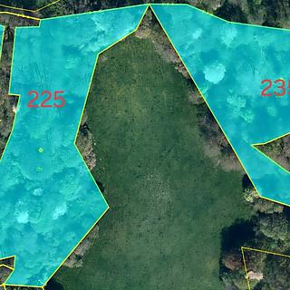 Prodej ostatních pozemků 26240 m&sup2; Kvítkov