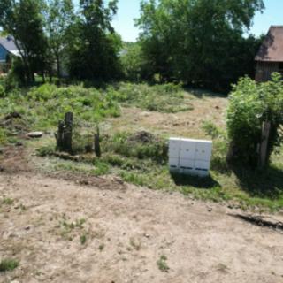 Prodej stavební parcely 624 m² Cholenice