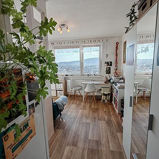 Prodej bytu 1+1 34 m² Liberec VI-Rochlice, Dobiášova