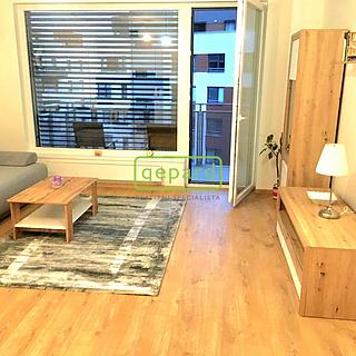 Pronájem bytu 1+kk, garsoniery, 36m²