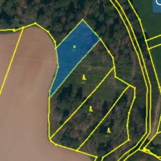 Prodej louky 1 308 m² Ocmanice