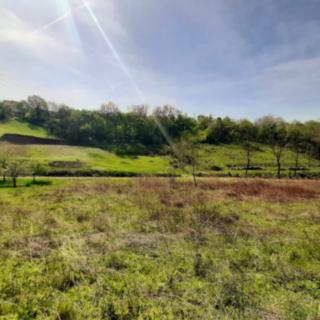 Prodej stavební parcely 811 m² Nenkovice
