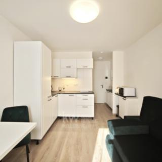 Pronájem bytu 1+kk a garsoniéry 18 m² Praha Vršovice, Kubánské náměstí