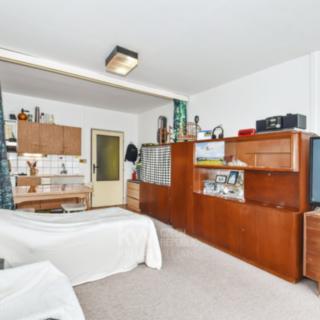 Prodej bytu 1+kk, garsoniery 26 m² Praha