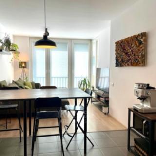 Pronájem bytu 2+kk 39 m² Praha Žižkov, Olgy Havlové