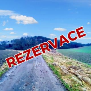 Prodej louky 6 886 m² Snědovice