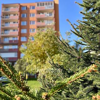 Pronájem bytu 2+1 46 m&sup2; Krupka