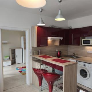 Pronájem bytu 1+1 38 m² Tábor, Petrohradská