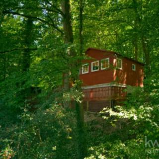 Prodej chaty 29 m² Plešnice