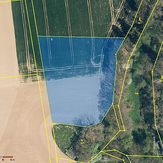 Prodej zemědělské půdy 3421 m&sup2; Šebířov