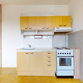 Pronájem bytu 1+1 41 m² Tábor, Bukurešťská