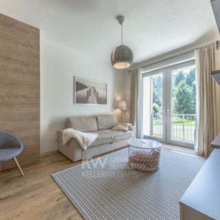 Prodej bytu 2+kk 45 m² Janské Lázně, Luční