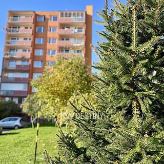 Pronájem bytu 2+1 46 m² Krupka, Sídliště