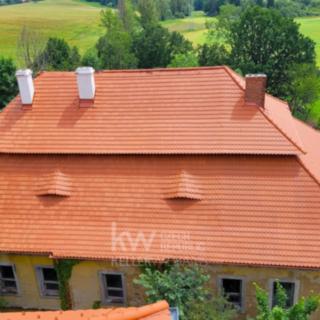 Prodej historického objektu 800 m² Skapce