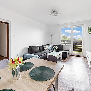 Prodej bytu 3+1 82 m² Tábor Čekanice, Sportovní
