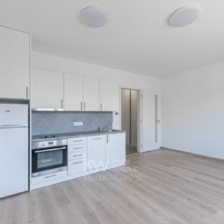 Pronájem bytu 1+kk a garsoniéry 27 m² Hradec Králové, Pražská třída