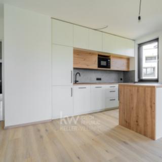 Pronájem bytu 4+kk 105 m² Praha