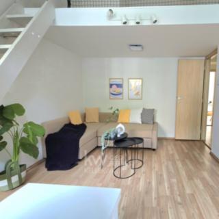Pronájem bytu 1+kk, garsoniery 48 m² Praha