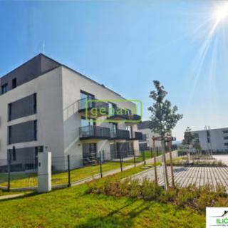 Pronájem bytu 1+kk, garsoniery 33 m² Plzeň