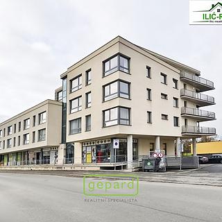 Pronájem bytu 3+kk 100 m² Plzeň