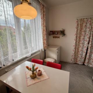 Prodej bytu 2+1 51 m² Rokycany Nové Město, Mládežníků
