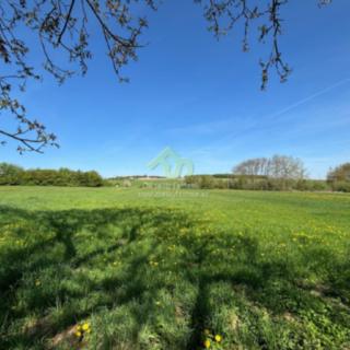 Prodej stavební parcely 6448 m² Břasy