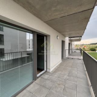Pronájem bytu 2+kk 69 m² Plzeň Újezd, Rubínová