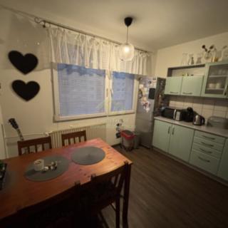 Pronájem bytu 1+1 39 m² Plzeň