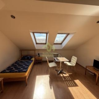 Pronájem bytu 1+kk, garsoniery 26 m² Plzeň