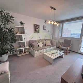 Pronájem bytu 2+1 65 m² Plzeň, Skupova