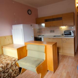 Prodej bytu 1+kk a garsoniéry 20 m² Kyselka Radošov