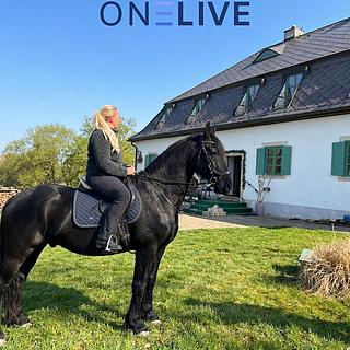 Prodej hotelu a penzionu 650 m² Rozvadov Svatá Kateřina