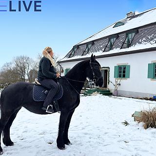 Prodej rodinného domu 650 m² Rozvadov Svatá Kateřina