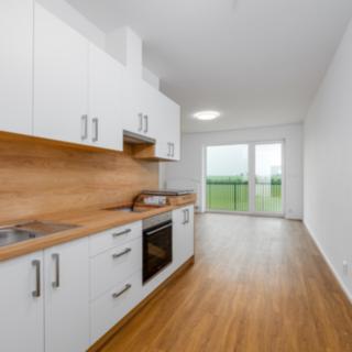 Pronájem bytu 1+kk, garsoniery 44 m² Plzeň