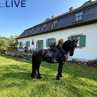 Prodej rodinného domu 650 m² Rozvadov Svatá Kateřina