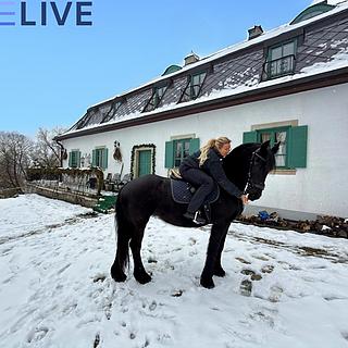 Prodej hotelu a penzionu 650 m² Rozvadov Svatá Kateřina